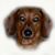 Ken Mumaw's profile image
