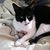 Karen Halka Feger's profile image
