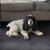 Brenda Renaud's profile image