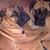Wanda Howe's profile image