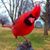 Leah A. Stephens's profile image