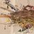 Rosanne Fisher Muscatiello's profile image