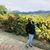 Tricia Ann Jao's profile image