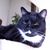 Sherry Eroh's profile image