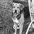 Susan Bishop's profile image