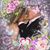 Meliza Aleman's profile image