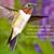 Deborah Fall's profile image