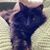 Madeline Rolston's profile image