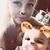 Abby Wheeler's profile image
