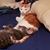 Kimberly M Turcott's profile image