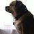 Steve Shrader's profile image