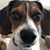 Karin Gilman's profile image