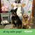 Donna McMurtrie Reed's profile image