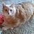 Judy S. Brooks's profile image