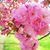 Debbie Briscoe's profile image