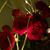 Mary Hites-Souders's profile image