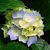 Katherine Cooper Miller's profile image