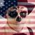 Gee Lotta's profile image