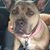 Katie Carpenter's profile image