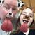 Bud Melsness's profile image