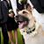Ayla Gruber's profile image