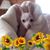 Jeananne Taft's profile image