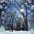 Sue Fulbright's profile image