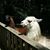 Bridget Robinett Garland's profile image