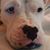 David Finkelstein's profile image