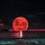 Debbie M Popp's profile image