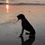 Marybeth Curran Caruso's profile image