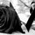 Adilene Ruiz's profile image