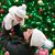 Darlene Filion's profile image