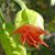 Jo Edel's profile image