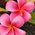 Kelly Zubiate's profile image