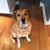 Liz Gervase Cartwright's profile image