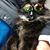 Jo Hipke's profile image