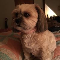 Pearl AndJohn Schaefer's profile image