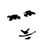 Ron Vargas's profile image
