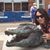 Donna Riemer's profile image