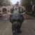 Ashlyn Fortier's profile image
