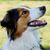 Shelley Whittington's profile image