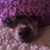 Heather Neff's profile image