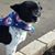 Teresa Smart Chrietzberg's profile image
