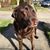 Duke Dietz's profile image