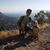 Daxton Buller's profile image
