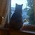 Michelle Ryan's profile image