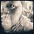 Brandon Coffey's profile image