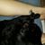 Betsy Nash Gabele's profile image