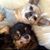 Kathy Keim's profile image